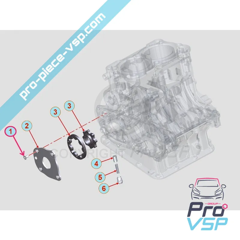 Engine oil pump plate screw Lombardini DCI