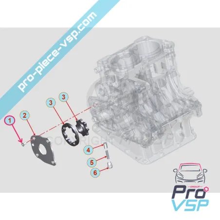 Engine oil pump plate screw Lombardini DCI