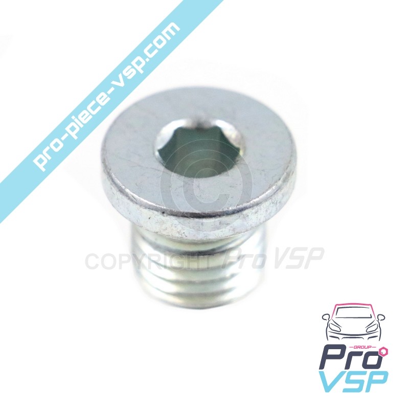 Motorölpumpenkappe Lombardini Focs Progress 502 523
