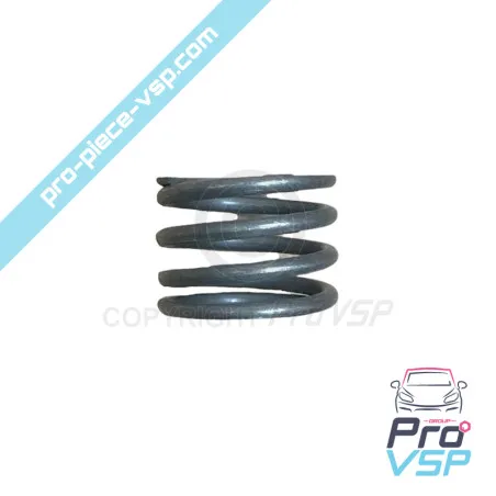 Engine oil filter spring Lombardini 6LD325