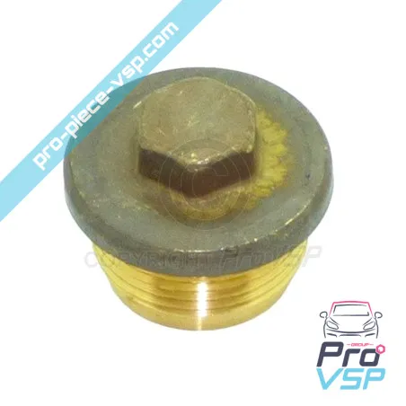 Tapa del filtro de aceite del motor Lombardini 6LD325