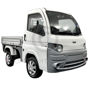 Bodywork al miglior prezzo per auto senza permesso Ligier X pro