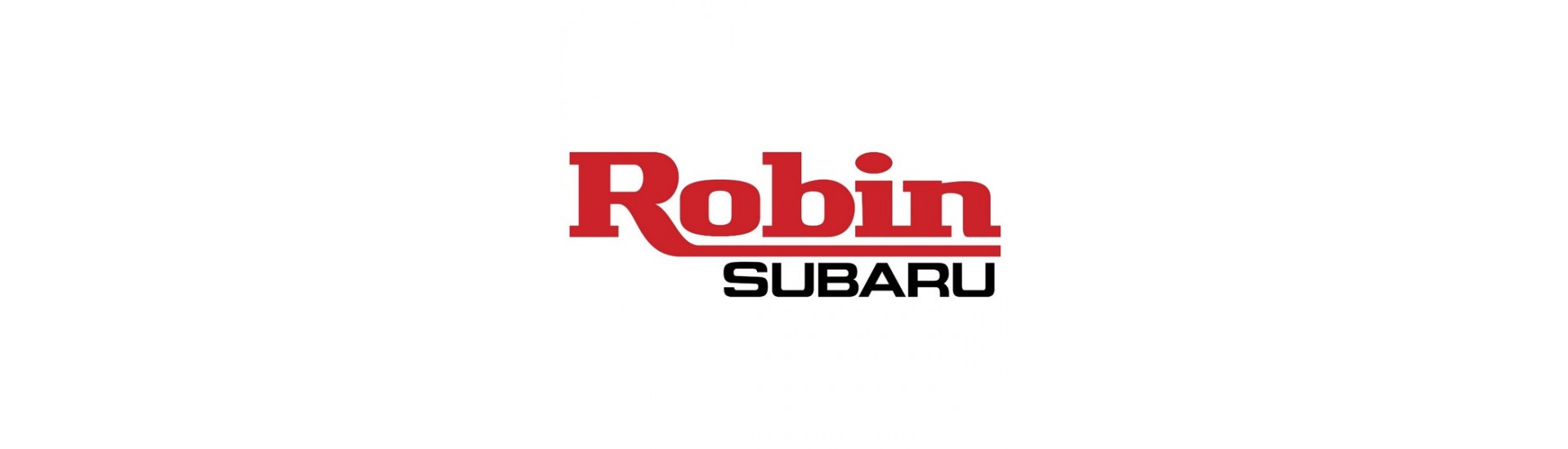 Ilmasuodattimet Robin au meilleur prix pour voiture sans permis