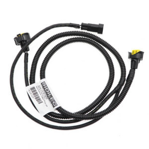 Bestes elektrisches Strahl für Auto ohne Lizenz