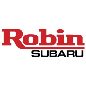 Filtros de gasolina Robin au meilleur prix pour voiture sans permis