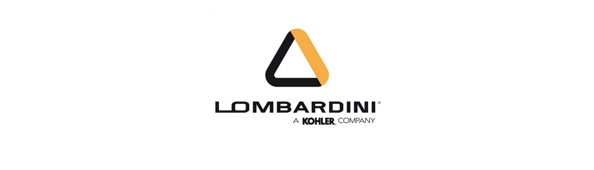 Motordelar Lombardini au meilleur prix pour voiture sans permis