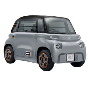 Carrosserie zum besten Preis für Auto ohne Lizenz Citroën Ami