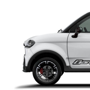 Front coaching at the best car price without a permit Chatenet Ch46