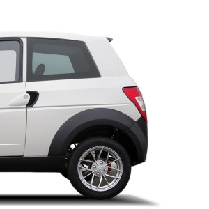 Back Carrosserie zum besten Preis ohne Lizenz Ligier Ixo