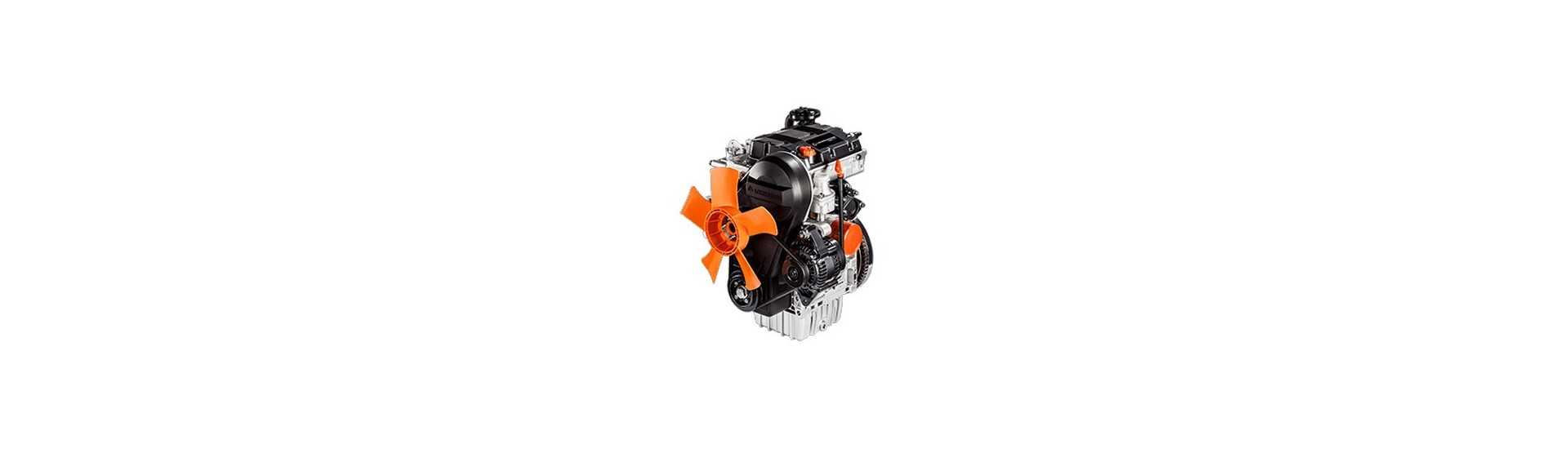 Pièces moteur Lombardini Focs LDW502 diesel pour voiture sans permis