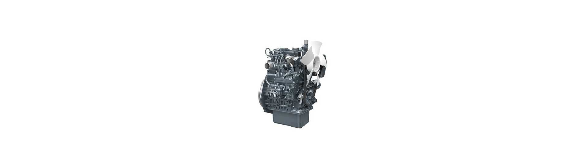 Engine parts Kubota bicylindre Z602 E4B pour voiture sans permis