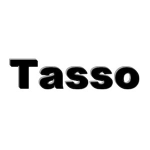 Pare brise au meilleur prix pour voiture sans permis Tasso