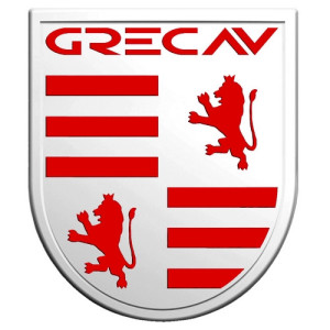Levier de vitesse au meilleur prix pour voiture sans permis Grecav