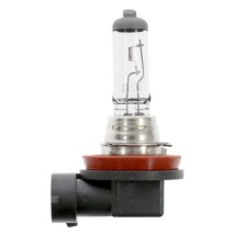 Fog light bulb