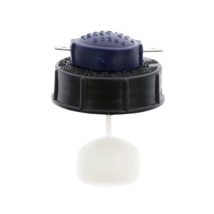 Brake fluid cap at the best price for a car without a license