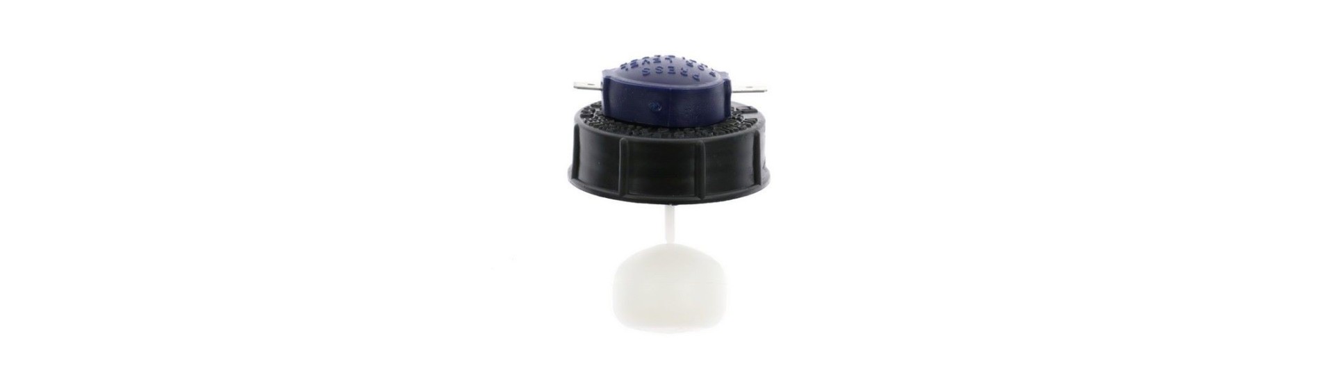 Brake fluid cap at the best price for a car without a license