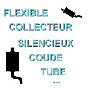 Echappement occasion au meilleur prix pour Aixam A721