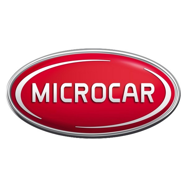 Caroseria la cel mai bun preț pentru o mașină fără permis Microcar