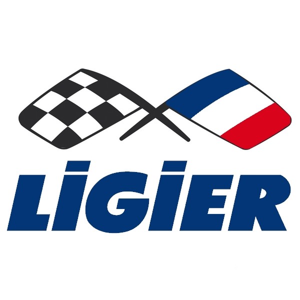 Bodywork ao melhor preço para o carro sem uma permissão Ligier