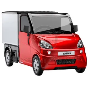 Bodywork al miglior prezzo per auto senza permesso Ligier Flex