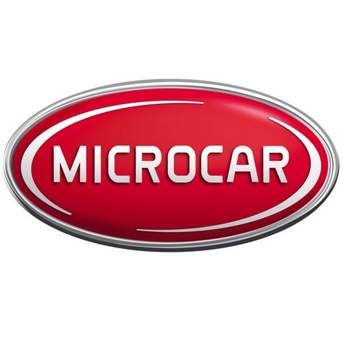 Siège côté conducteur et passager Microcar MGO d'occasion
