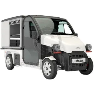 Bodywork al miglior prezzo per auto senza permesso Ligier Be Sun